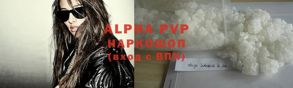 гидра Белокуриха