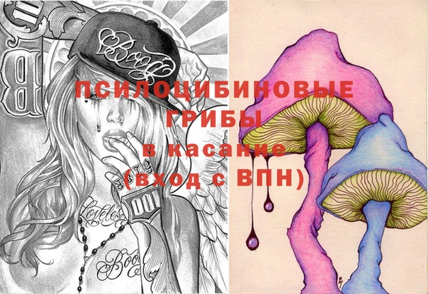 гидра Белокуриха