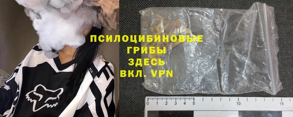 гидра Белокуриха