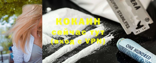 гидра Белокуриха