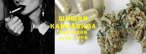 гидра Белокуриха