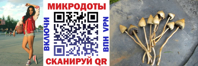 купить наркоту  Ессентуки  Галлюциногенные грибы GOLDEN TEACHER 