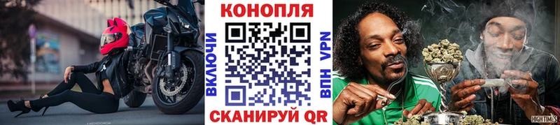 mega как войти  где можно купить наркотик  Ессентуки  Марихуана тримм 